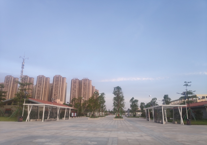 有为广场路中间